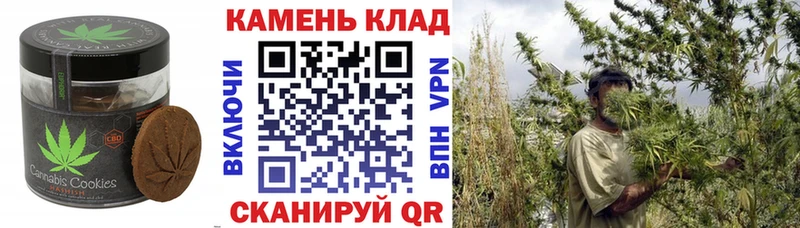 Canna-Cookies марихуана Махачкала