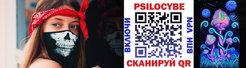 Псилоцибиновые грибы Psilocybe  Махачкала 